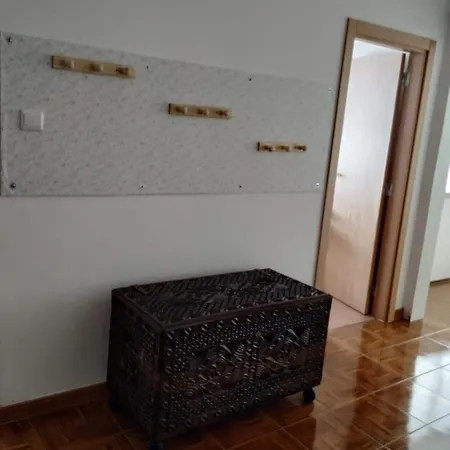 Apartment Figueirovida Alojamento Local-casa Jardim *